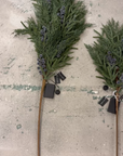 Plum, Navy Blue, Frosted Berry, Norfolk Cypress, Real Touch Stems 22'' LUXE B