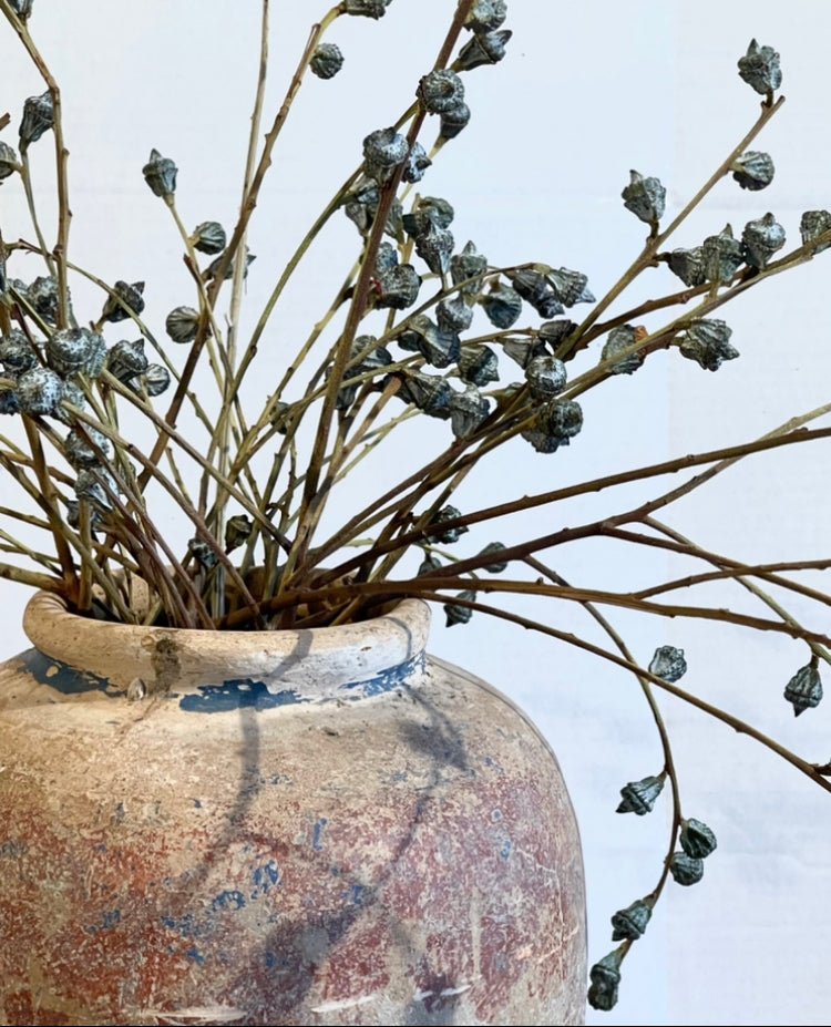 VINTAGE JAR Pots & Planters Chantal Royer