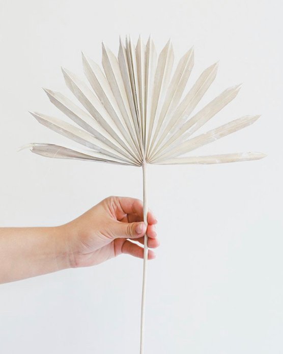 WHITEWASHED NATURAL SUN PALMITO Botanical Chantal Royer