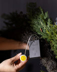 Norfolk Cypress Garland with White Plums and Frosted Berries - 15 ft LUXE B