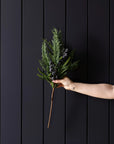 Plum, Navy Blue, Frosted Berry, Norfolk Cypress, Real Touch Stems 22'' LUXE B