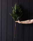 Plum, Navy Blue, Frosted Berry, Norfolk Cypress, Real Touch Stems 22'' LUXE B