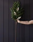 Real Touch Norfolk Cypress Stems, Frosted Berry, White Plum 40'' LUXE B