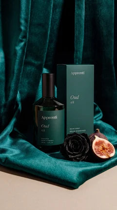 APPRENTI BRUINE D'AMBIANCE OUD 68 APPRENTI