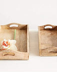 RECTANGLE MANGO WOOD TRAYS Dining-Kitchenware Creative Coop   