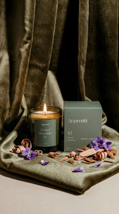 APPRENTI - BOUGIE SANTAL AUSTRALIS APPRENTI