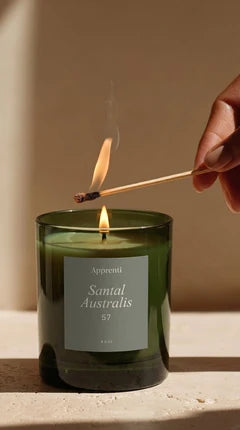 APPRENTI - BOUGIE SANTAL AUSTRALIS APPRENTI