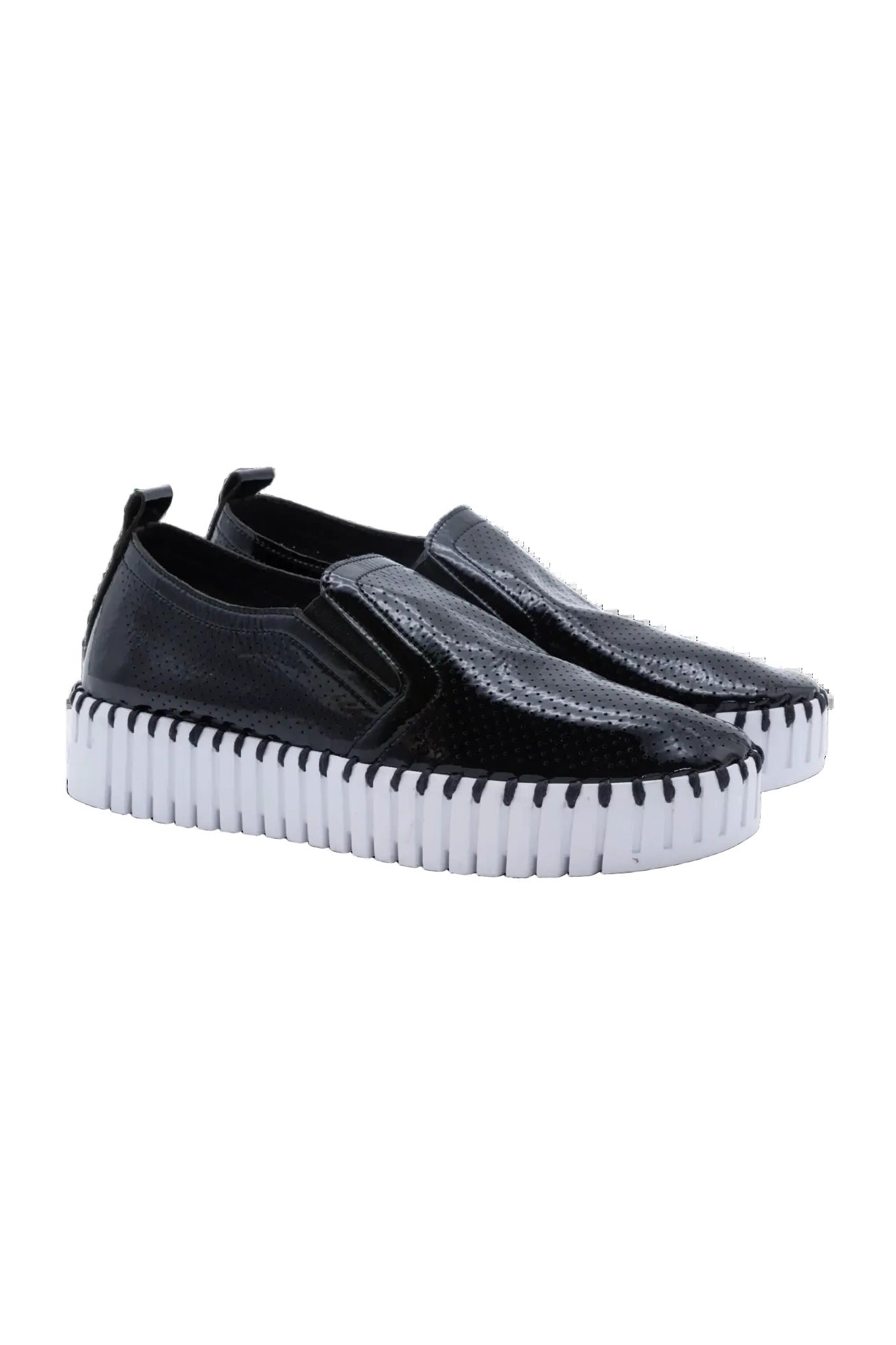 Tulip ILSE JACOBSEN Black 36