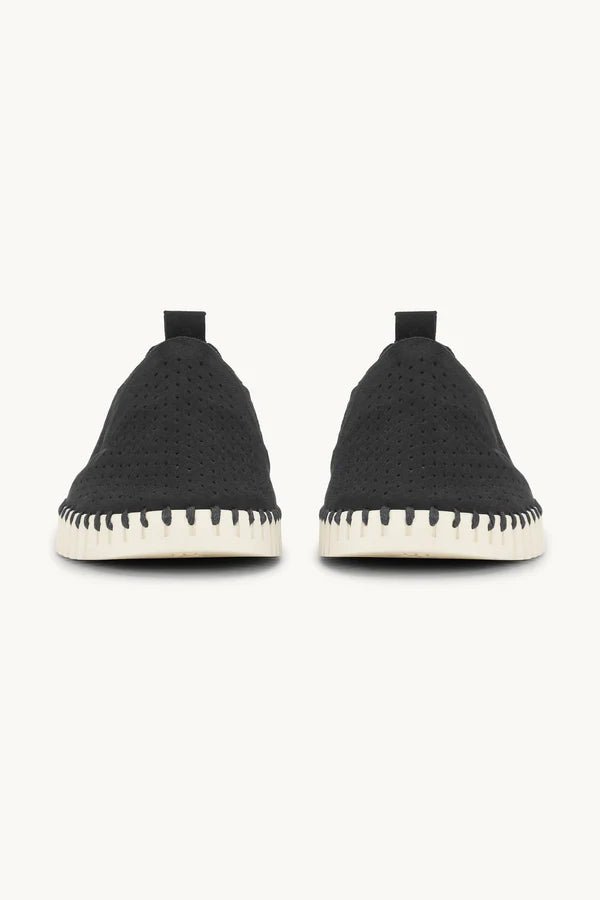 Tulip Men ILSE JACOBSEN Black 38