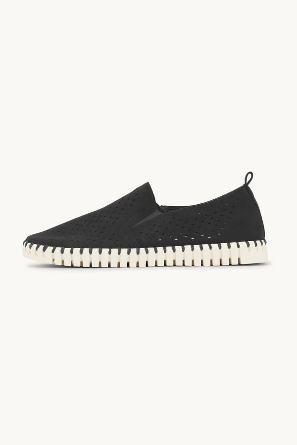 Tulip Men ILSE JACOBSEN Black 43