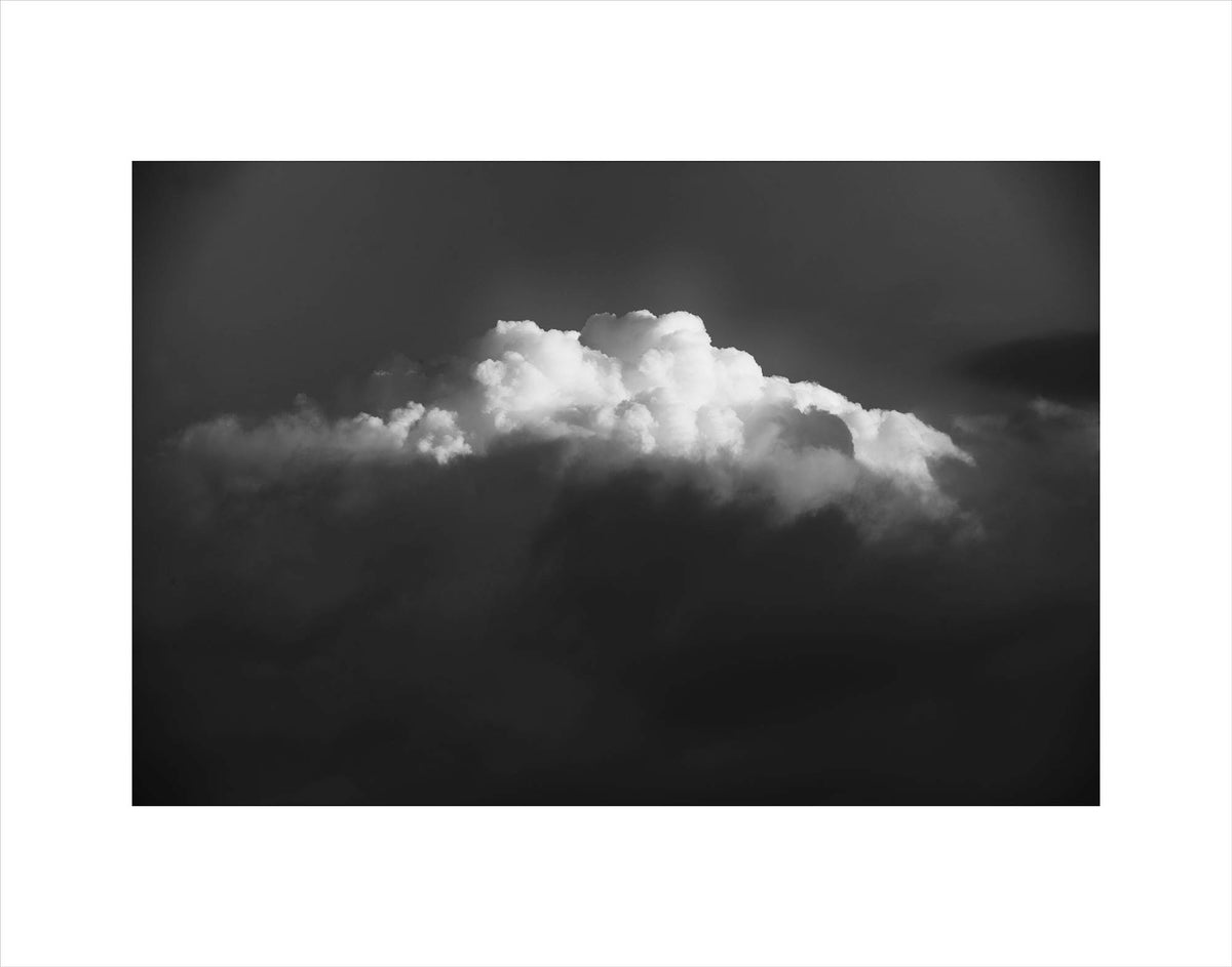ALPHA ART PRINT walldecor-originalart WYNIL   