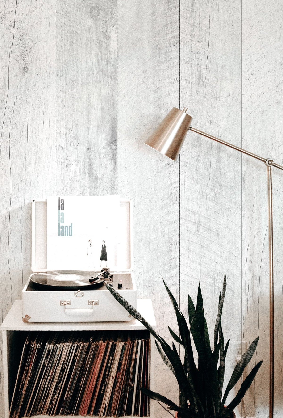 BARN WOOD WALLPAPER - PAPIER PEINT BOIS DE GRANGE walldecor-wallmurals WYNIL   