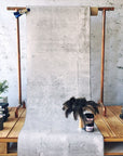 CONCRETE SANDY GREY WALLPAPER - PAPIER PEINT BÉTON SABLÉ GRIS walldecor-wallmurals NumerArt   