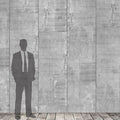 CONCRETE SMOTH WALLPAPER - PAPIER PEINT BÉTON LISSE walldecor-wallmurals NumerArt   