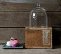 GLASS CLOCHE living-decorative-object Creative Coop   