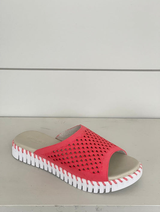 ILSE JACOBSEN - Sandale Tulip1375 Footwear Ilse Jacobsen 36 Raspberry 