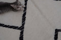 KILIM RUG 8'2