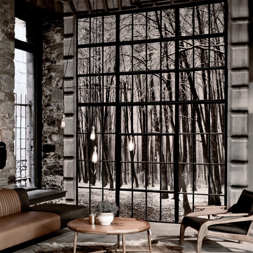 PANNED WINDOWS WINTER MURAL walldecor-wallmurals NumerArt   