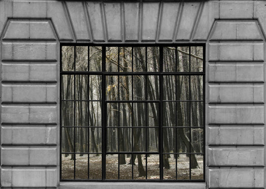PANNED WINDOWS WINTER MURAL walldecor-wallmurals NumerArt   