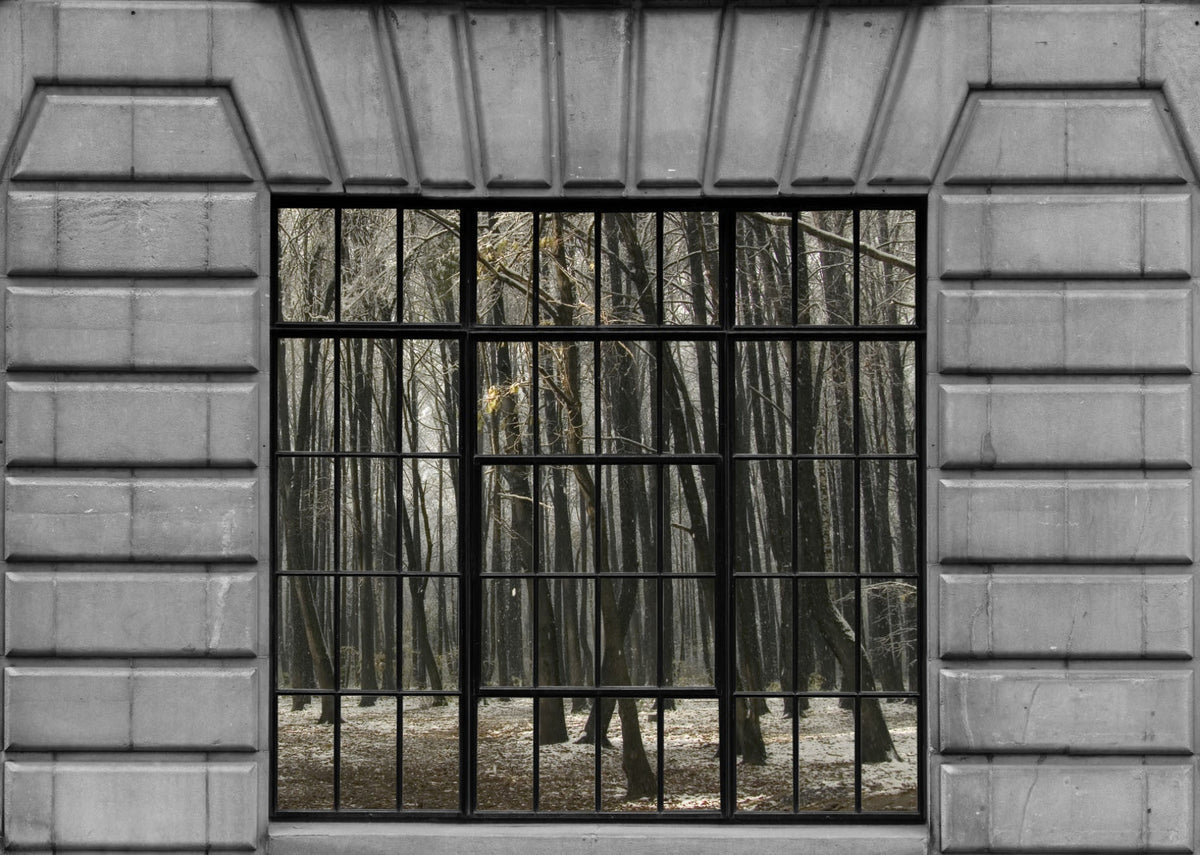 PANNED WINDOWS WINTER MURAL walldecor-wallmurals NumerArt   
